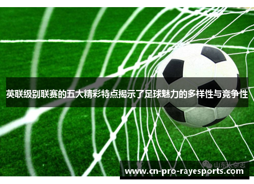 英联级别联赛的五大精彩特点揭示了足球魅力的多样性与竞争性