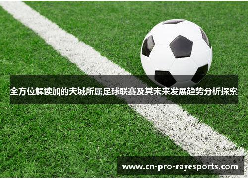 全方位解读加的夫城所属足球联赛及其未来发展趋势分析探索