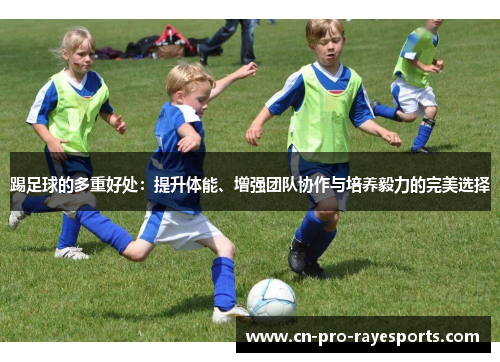 踢足球的多重好处：提升体能、增强团队协作与培养毅力的完美选择